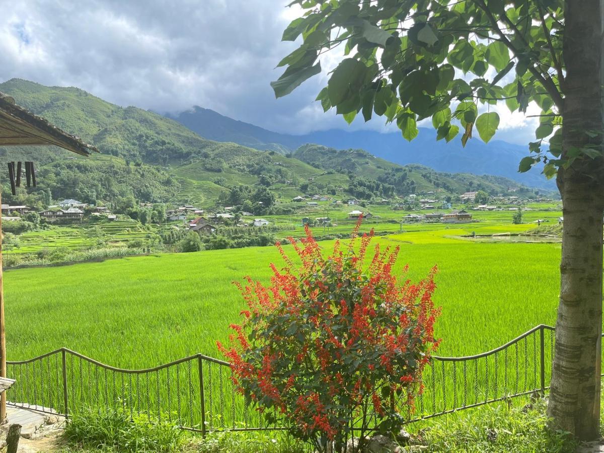 Sapa Bamboo Eco Exterior foto